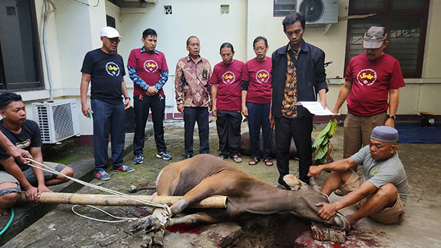 pemotongan qurban 0a